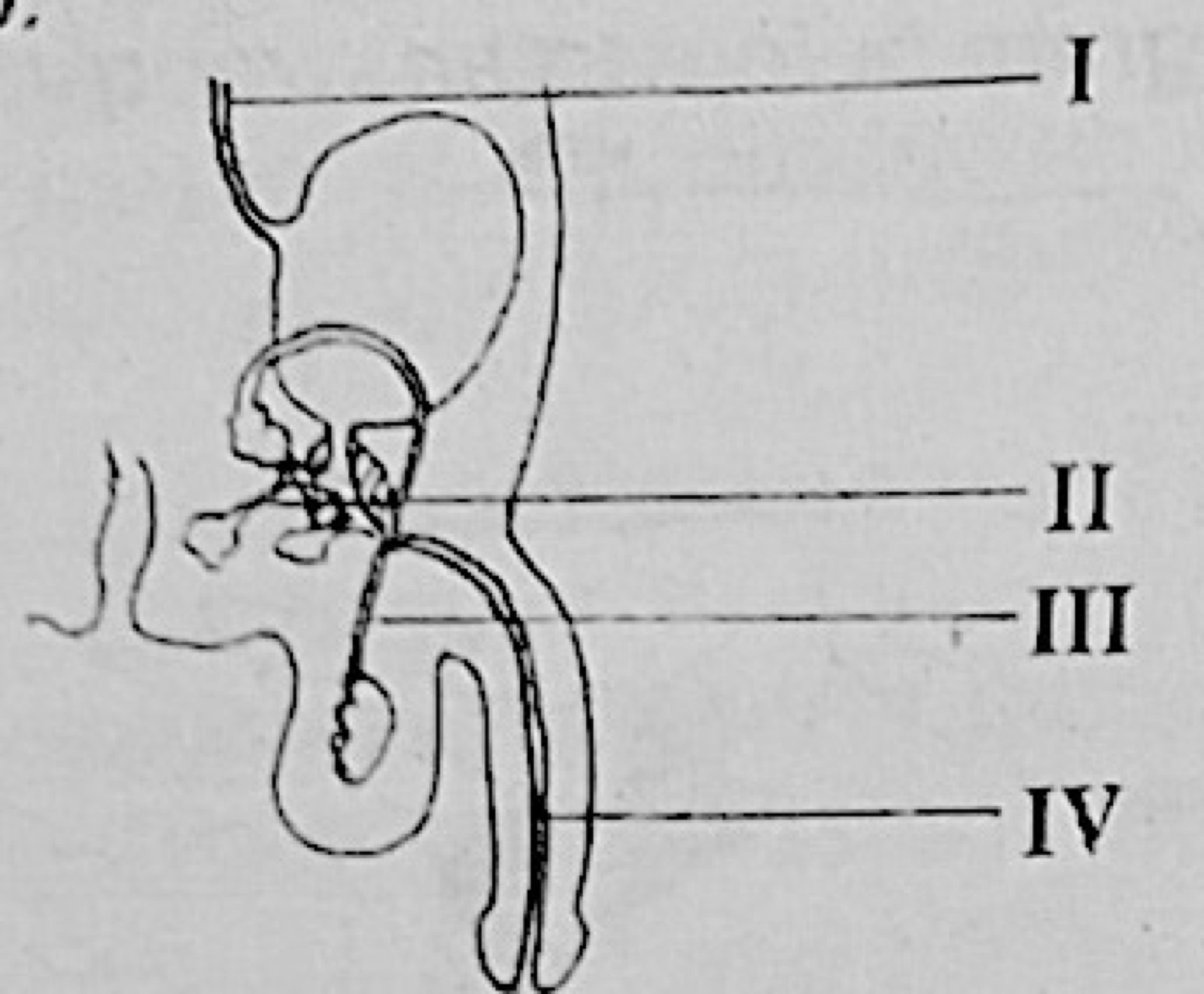 Diagram for this question