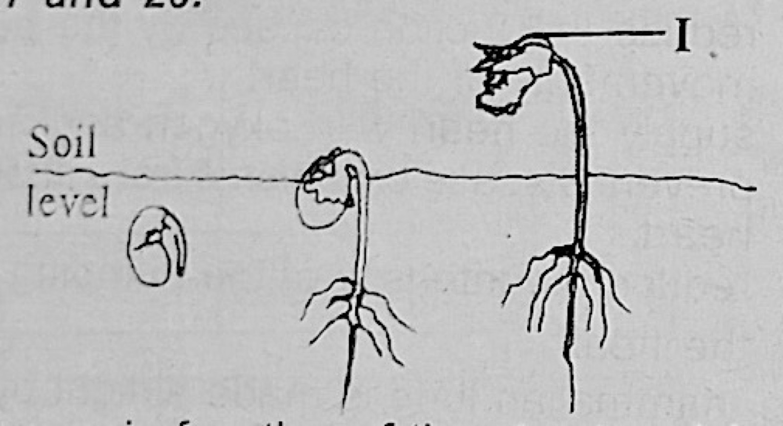 Diagram for this question