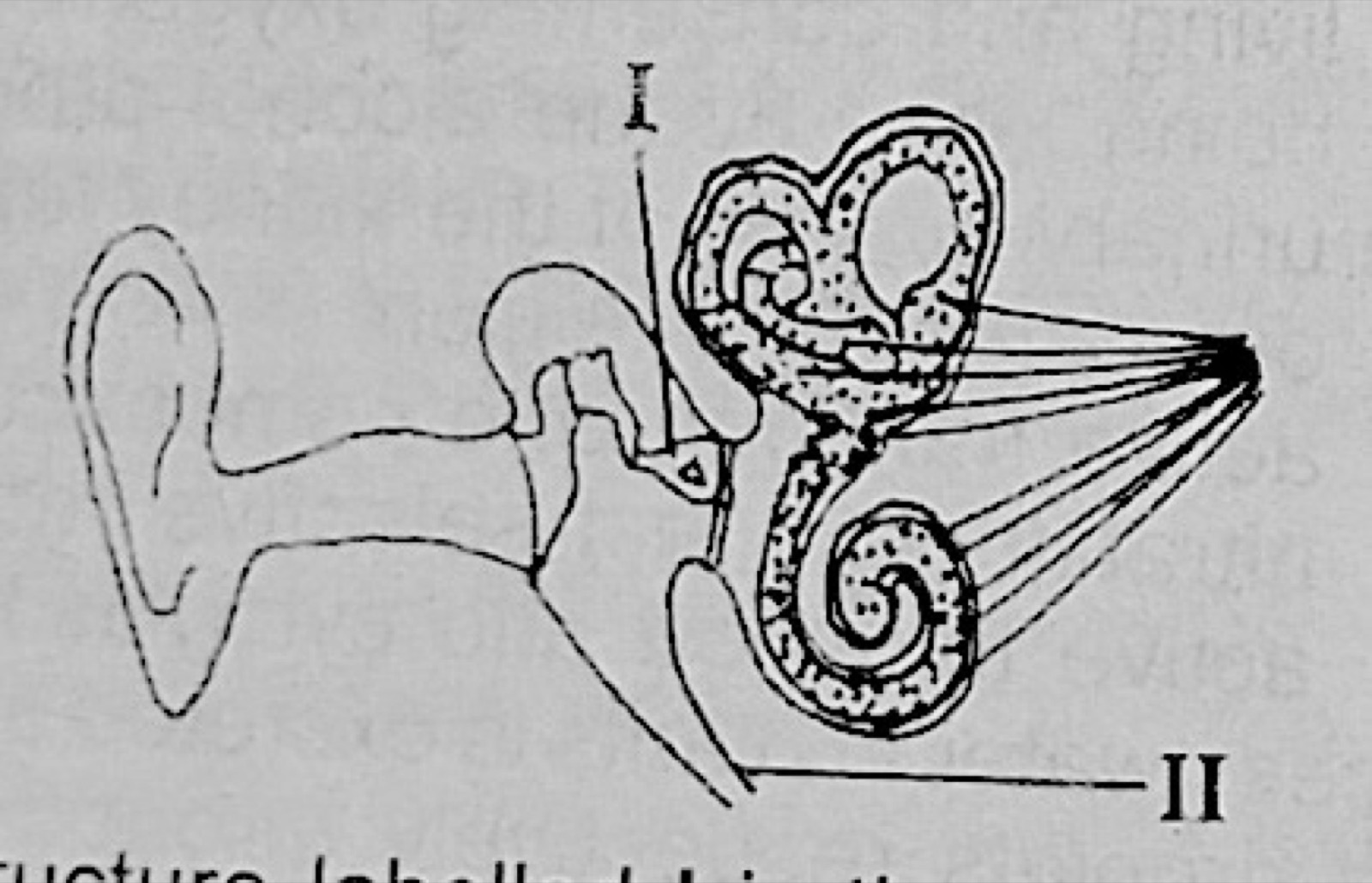 Diagram for this question