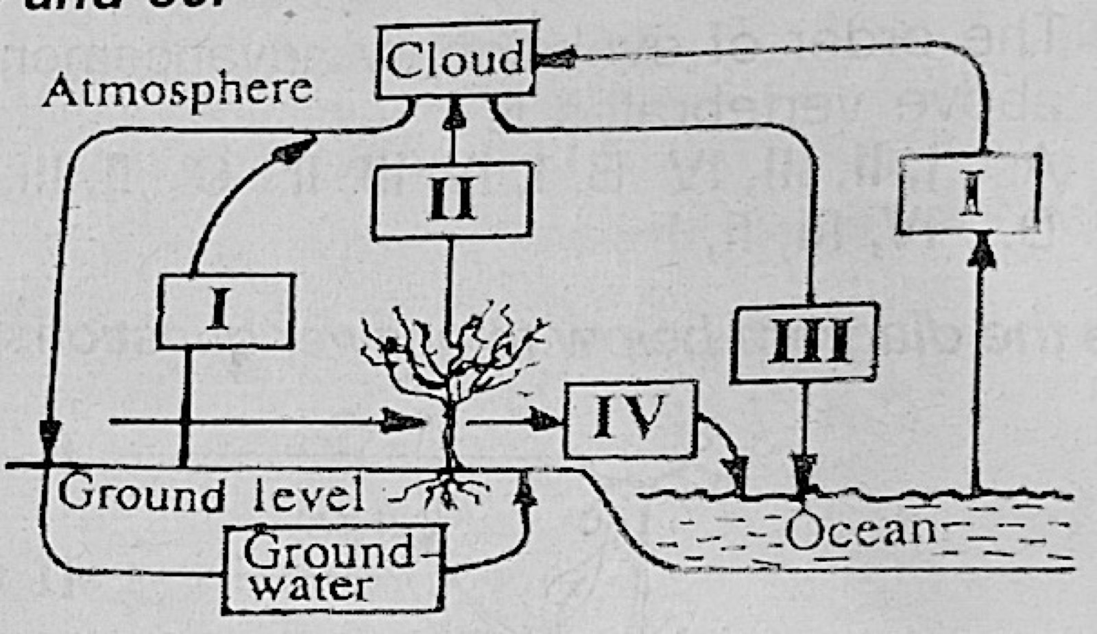 Diagram for this question