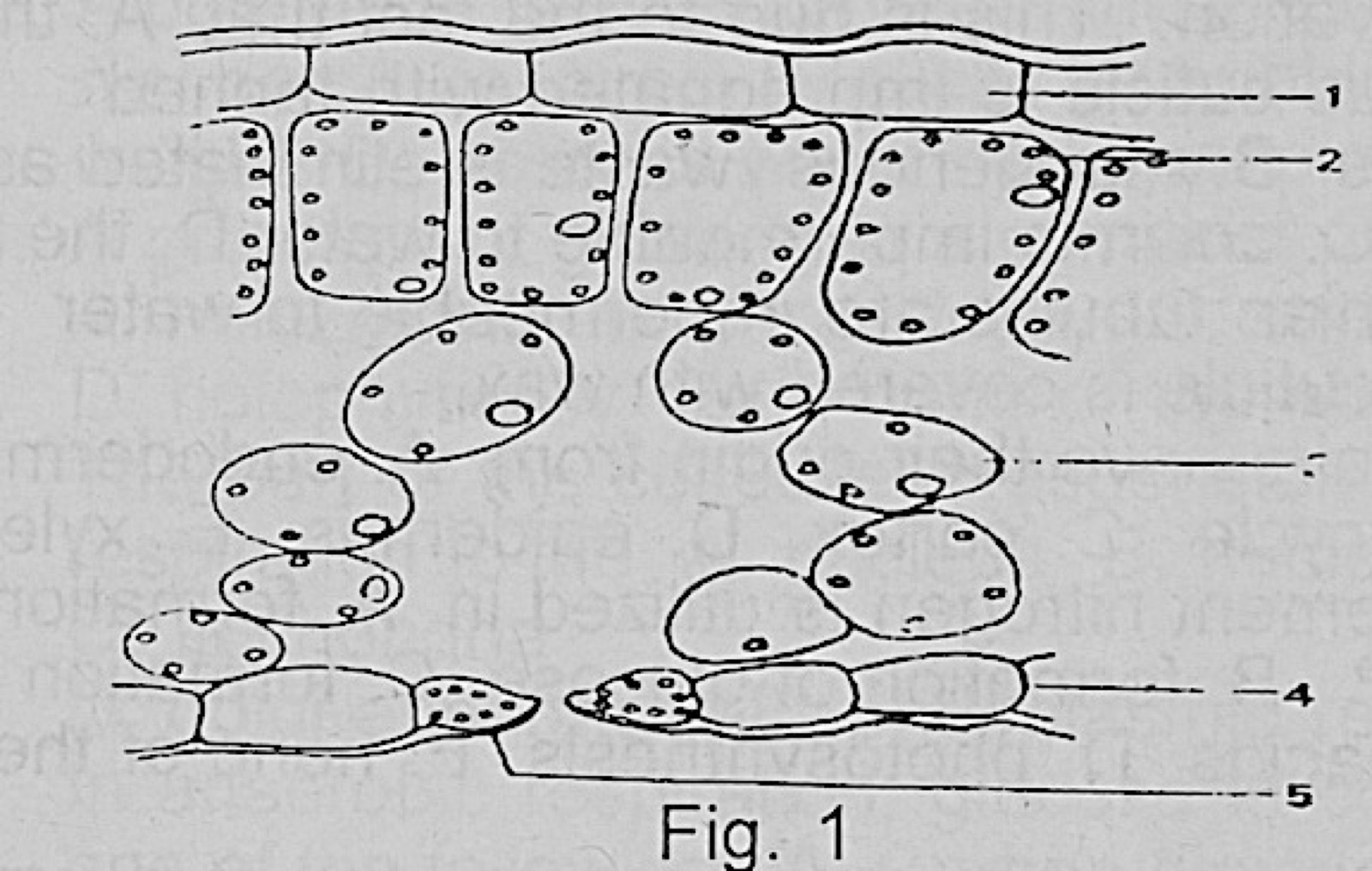Diagram for this question
