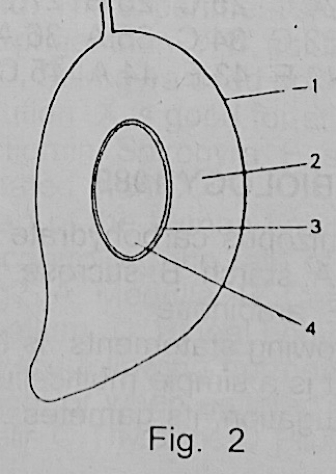 Diagram for this question
