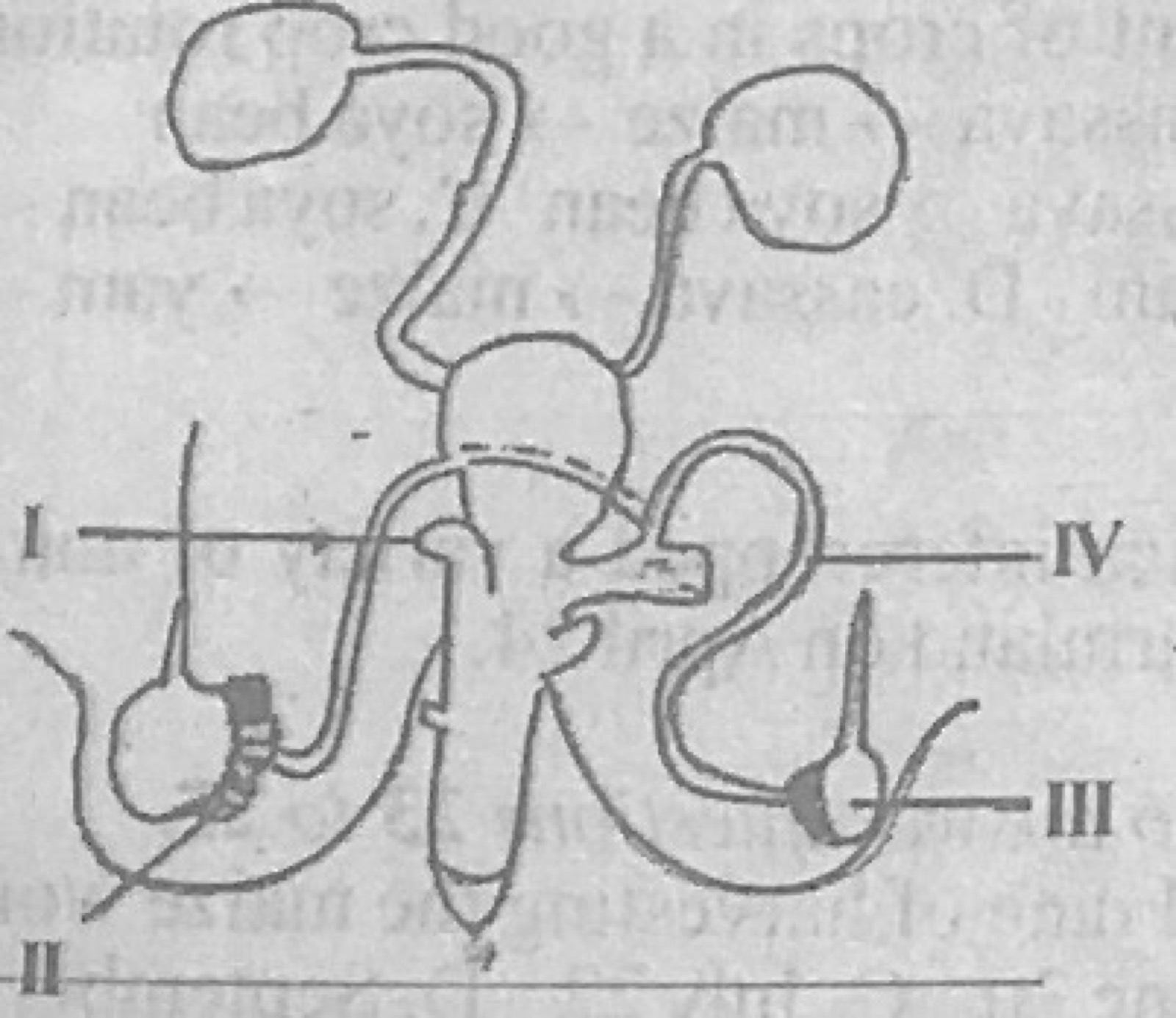Diagram for this question