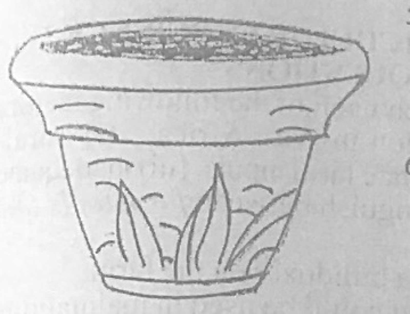 Diagram for this question