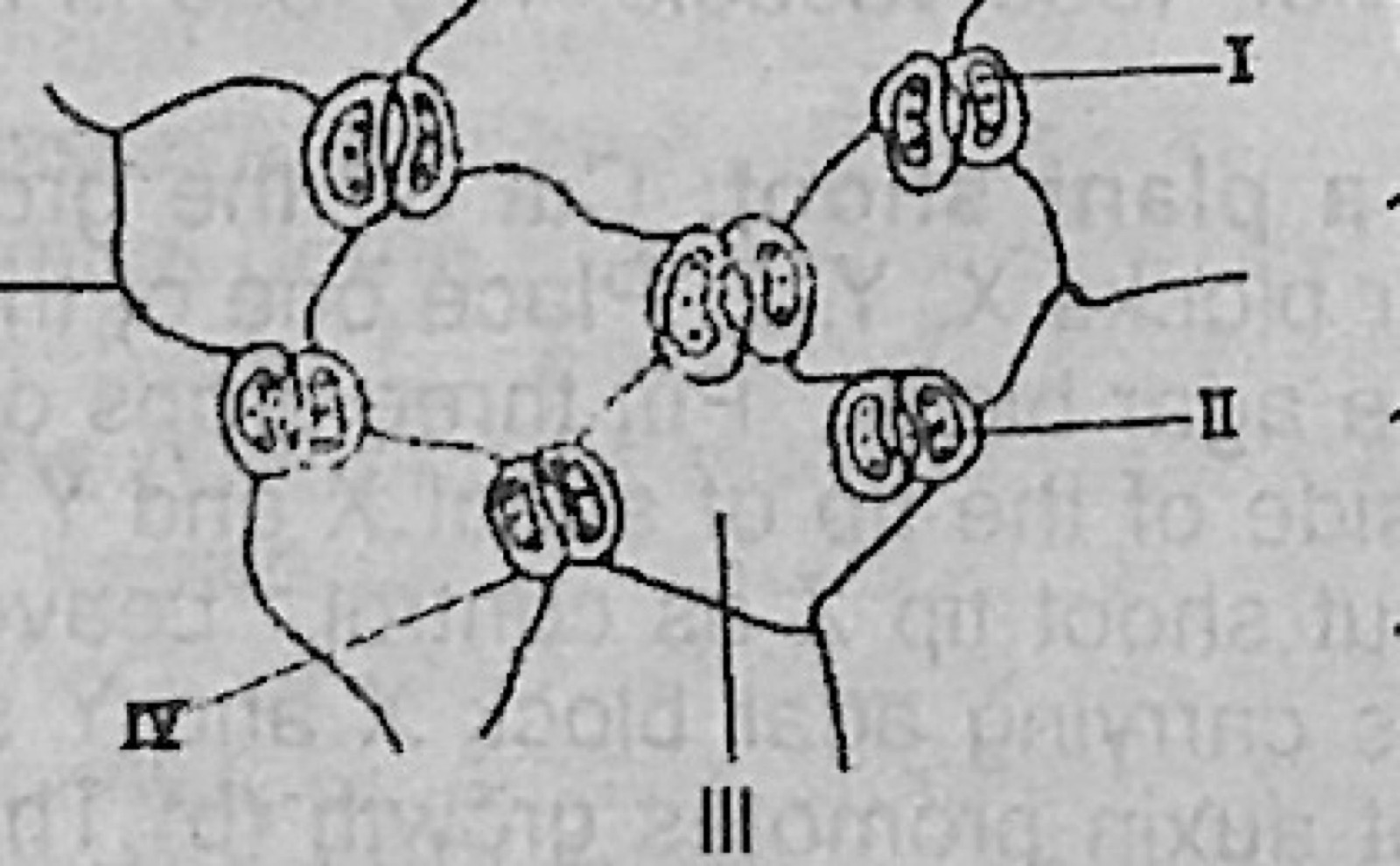 Diagram for this question