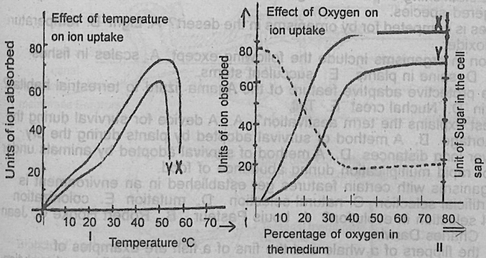 Diagram for this question