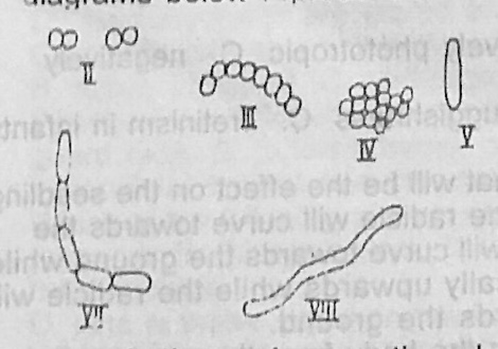 Diagram for this question