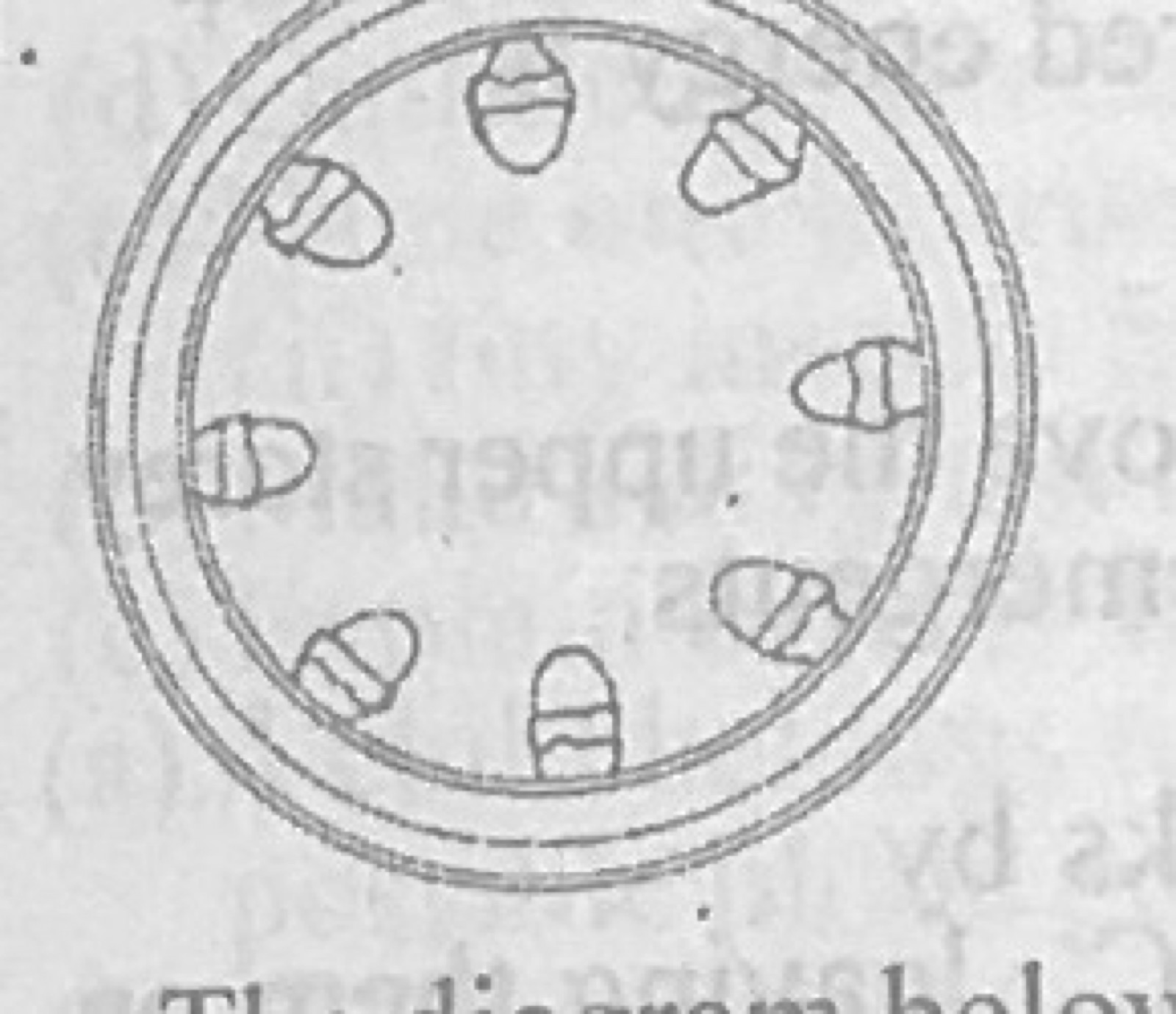 Diagram for this question