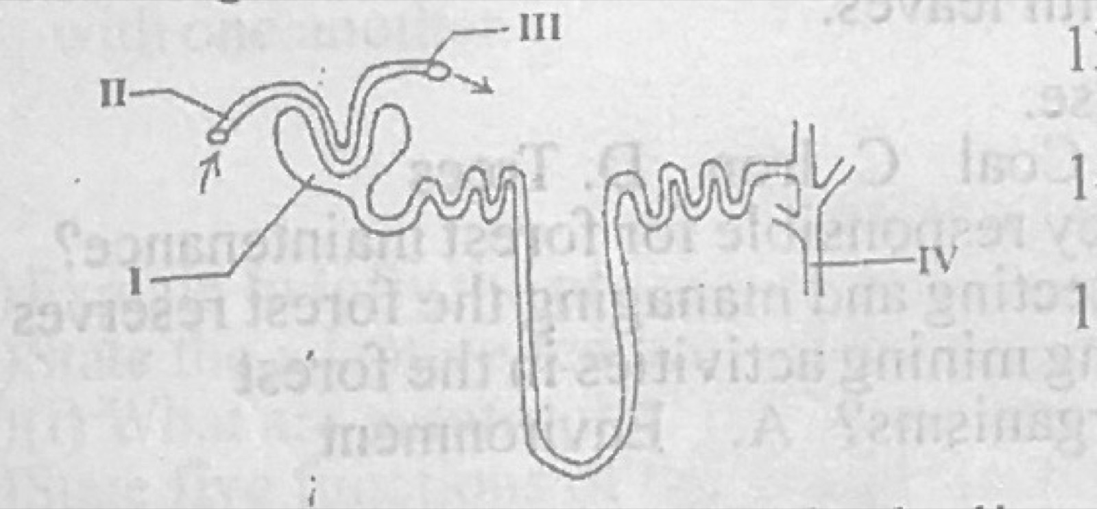 Diagram for this question