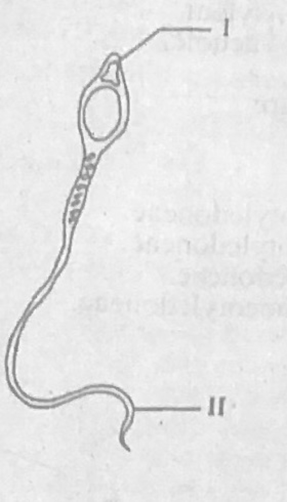 Diagram for this question