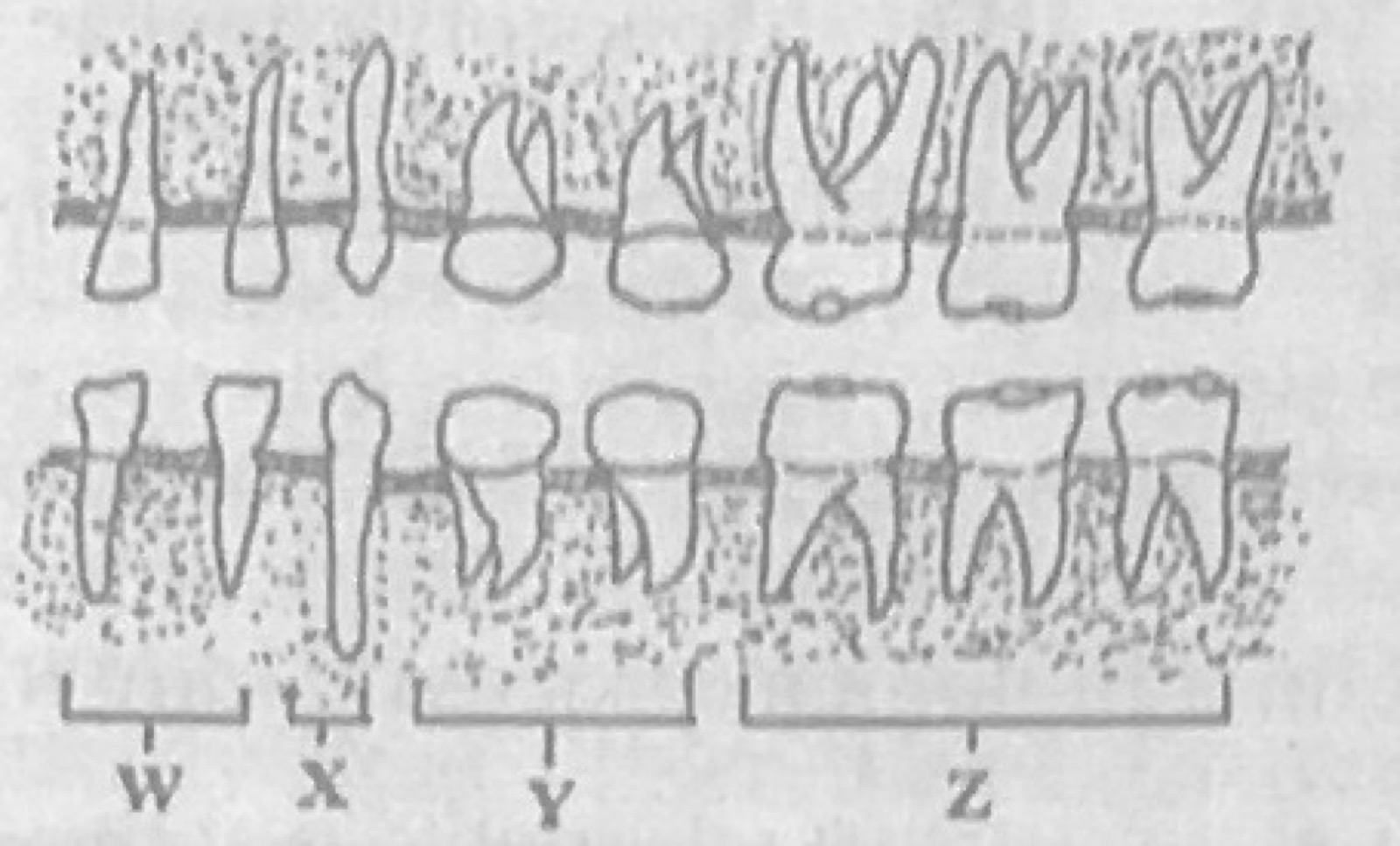 Diagram for this question