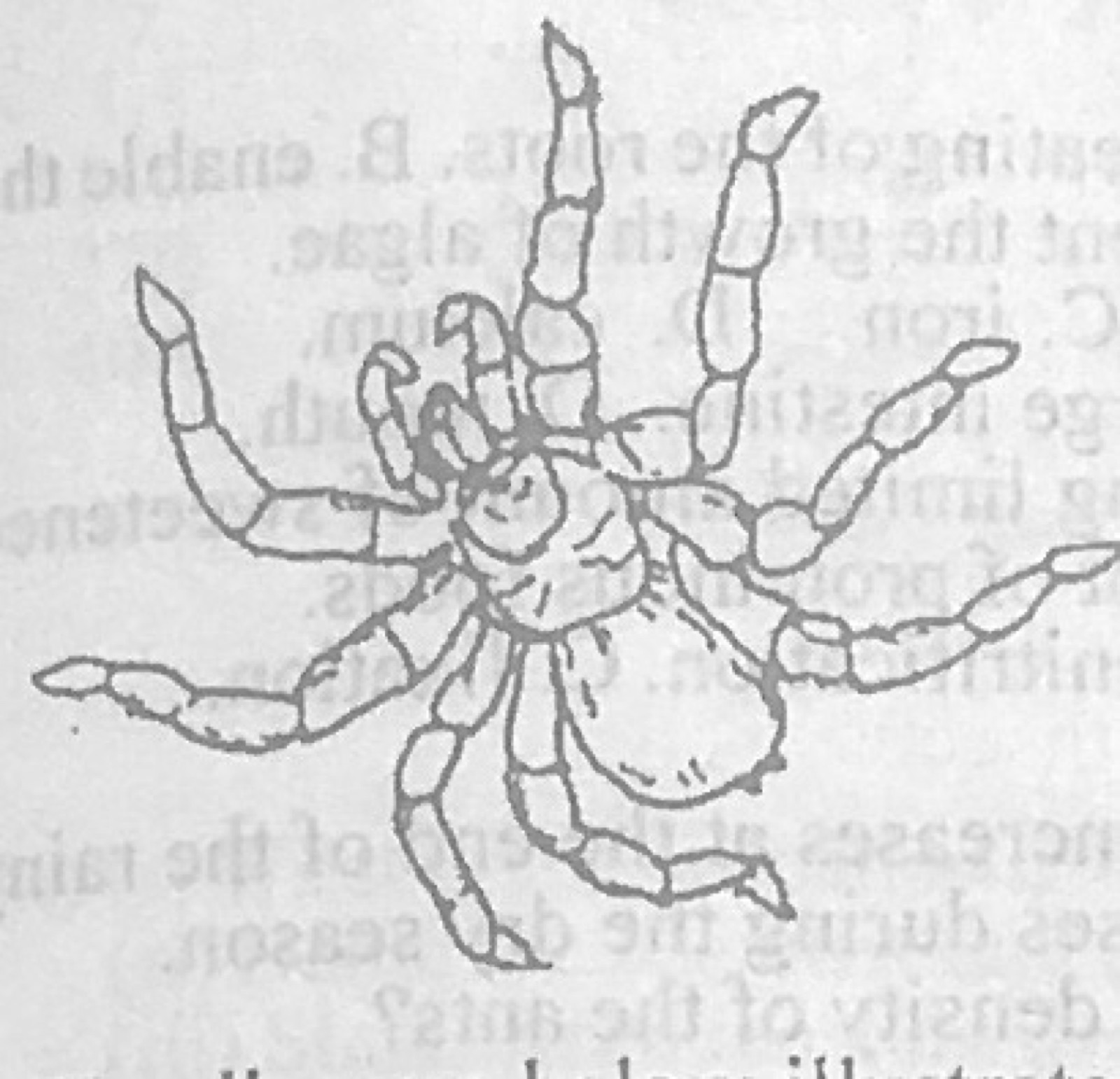 Diagram for this question