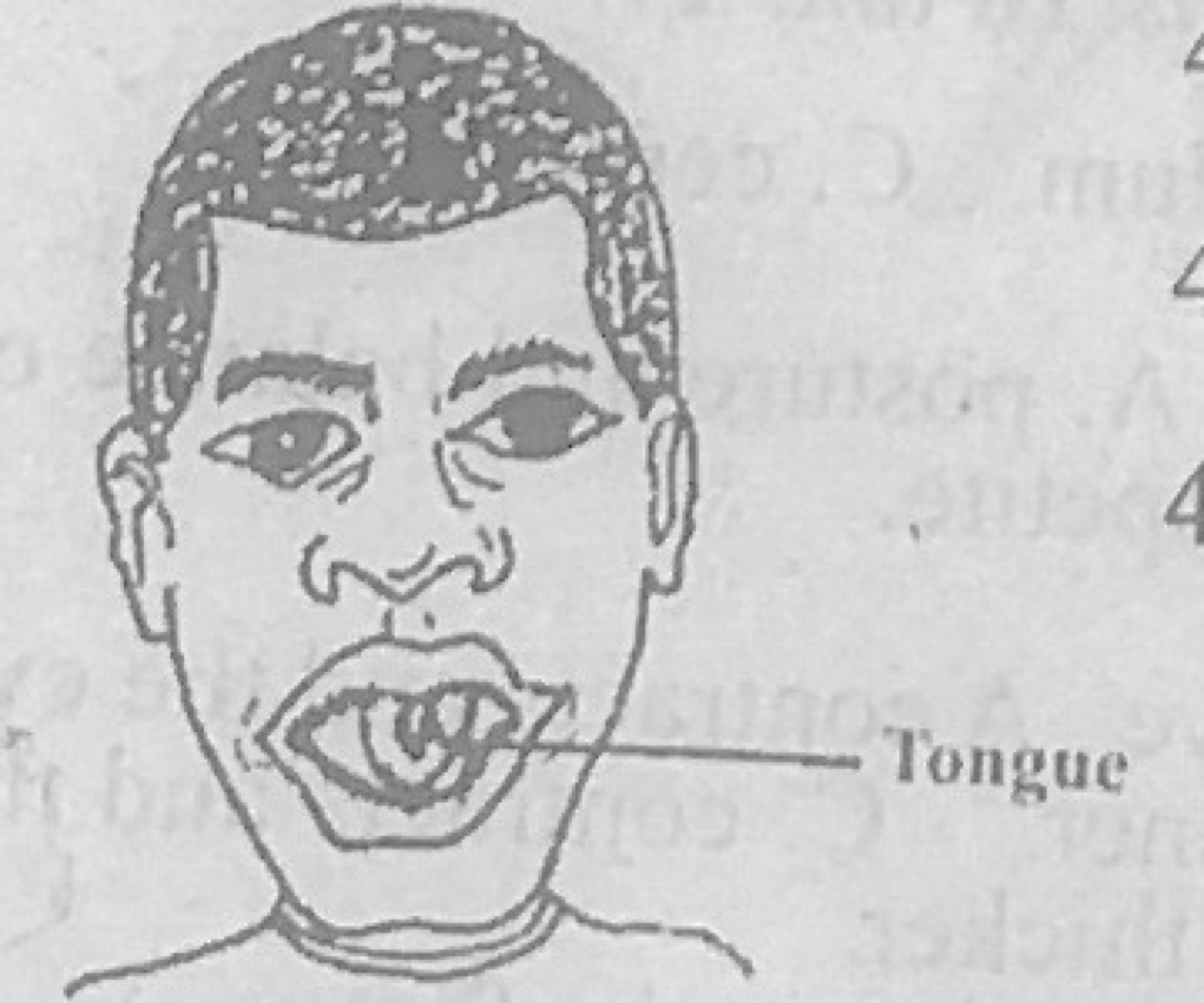 Diagram for this question