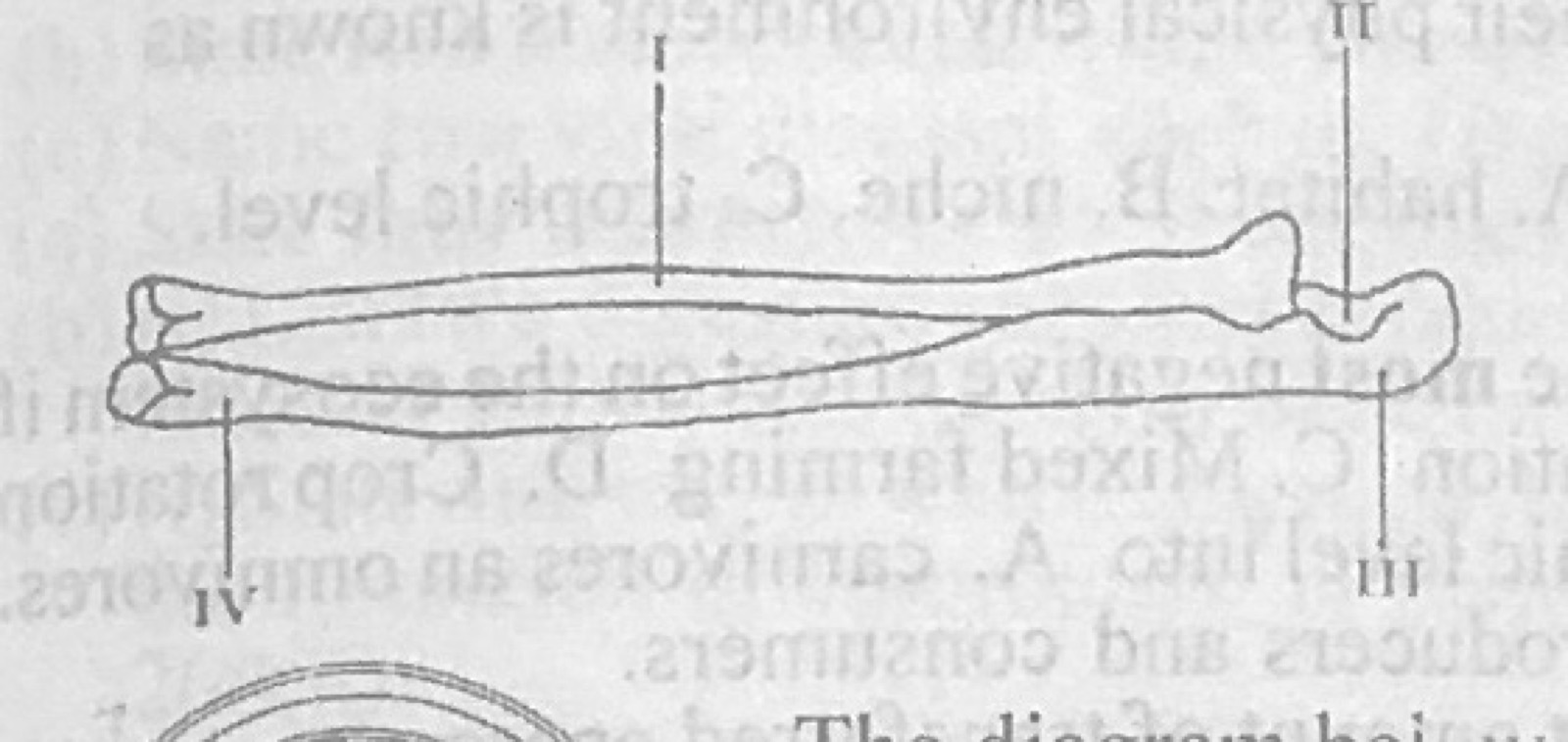 Diagram for this question