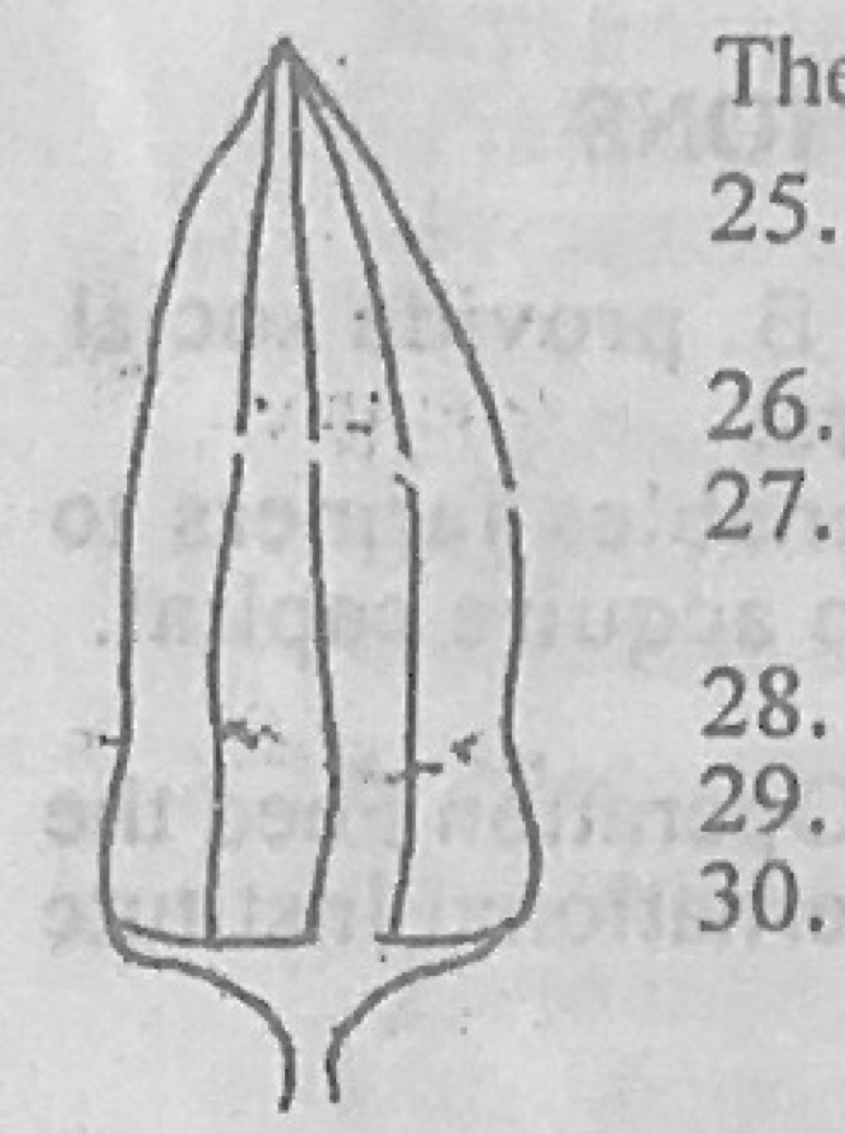 Diagram for this question