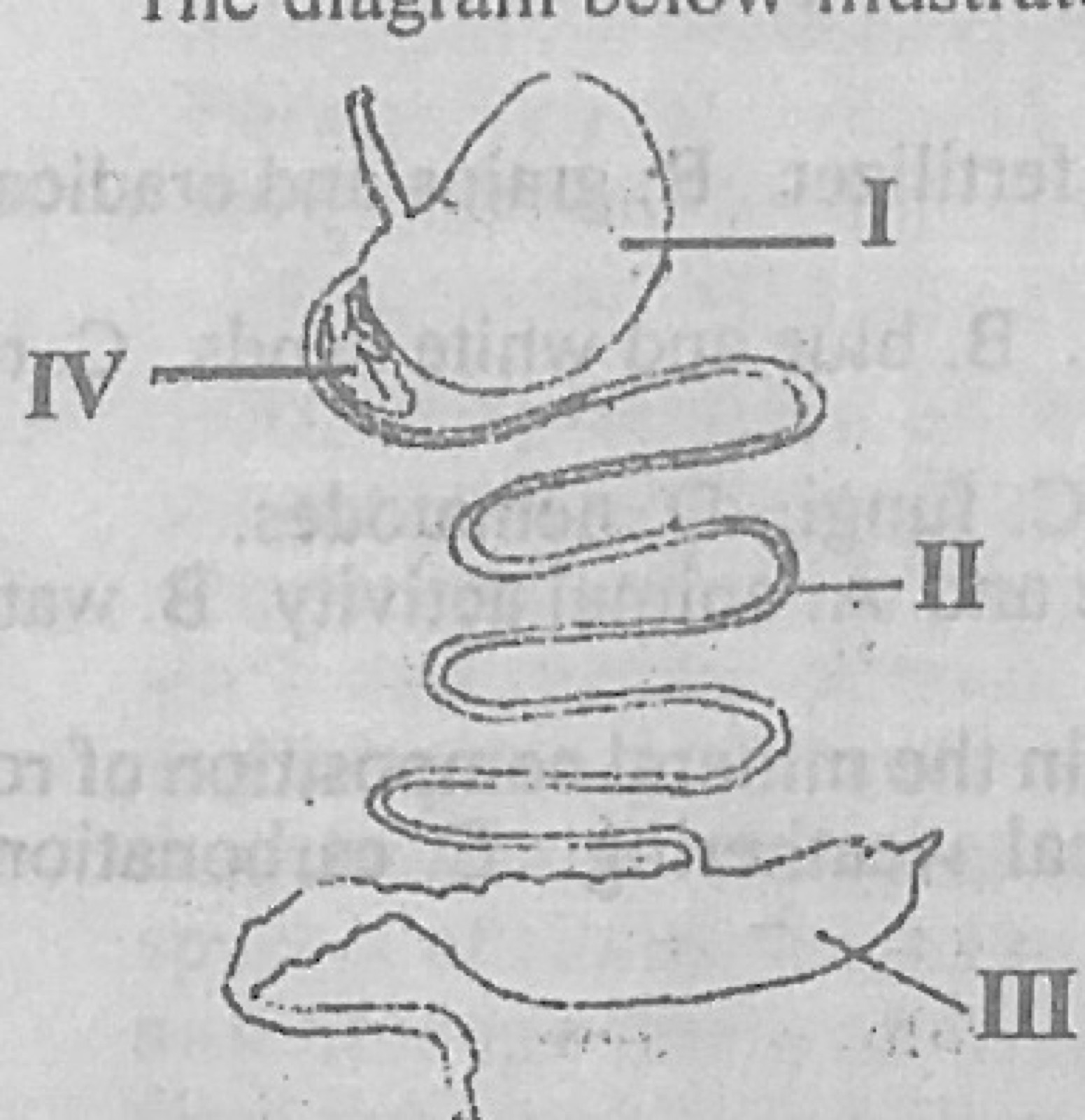Diagram for this question