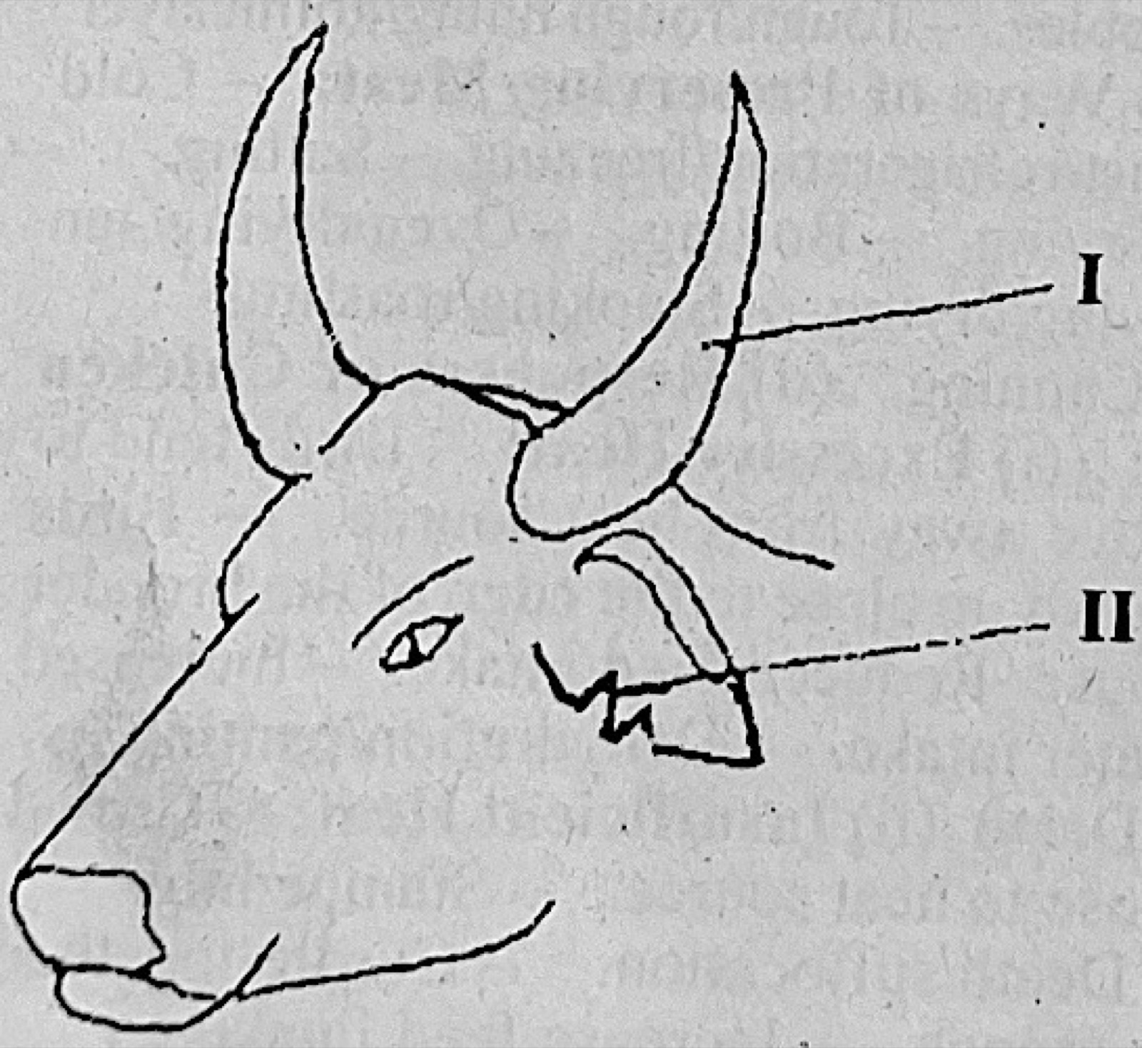 Diagram for this question