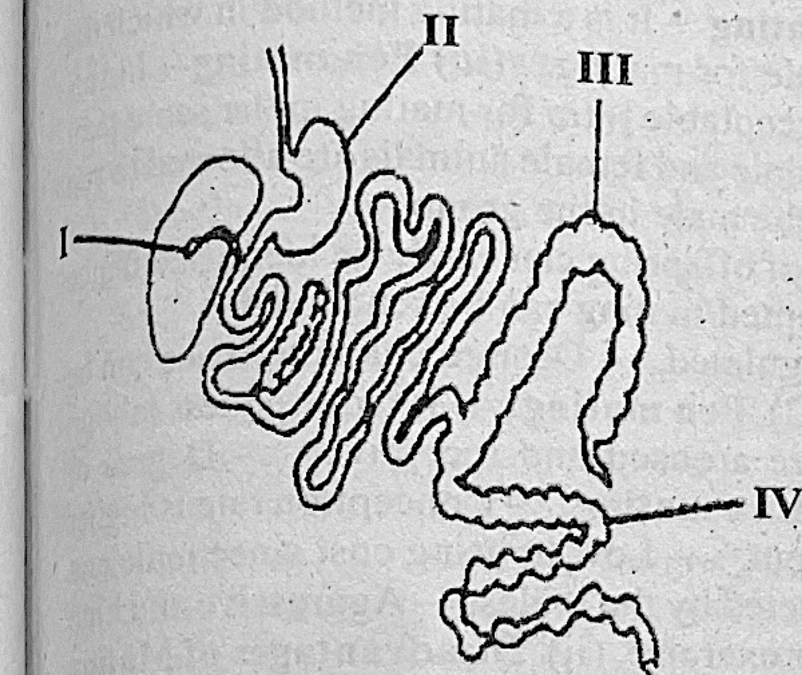 Diagram for this question