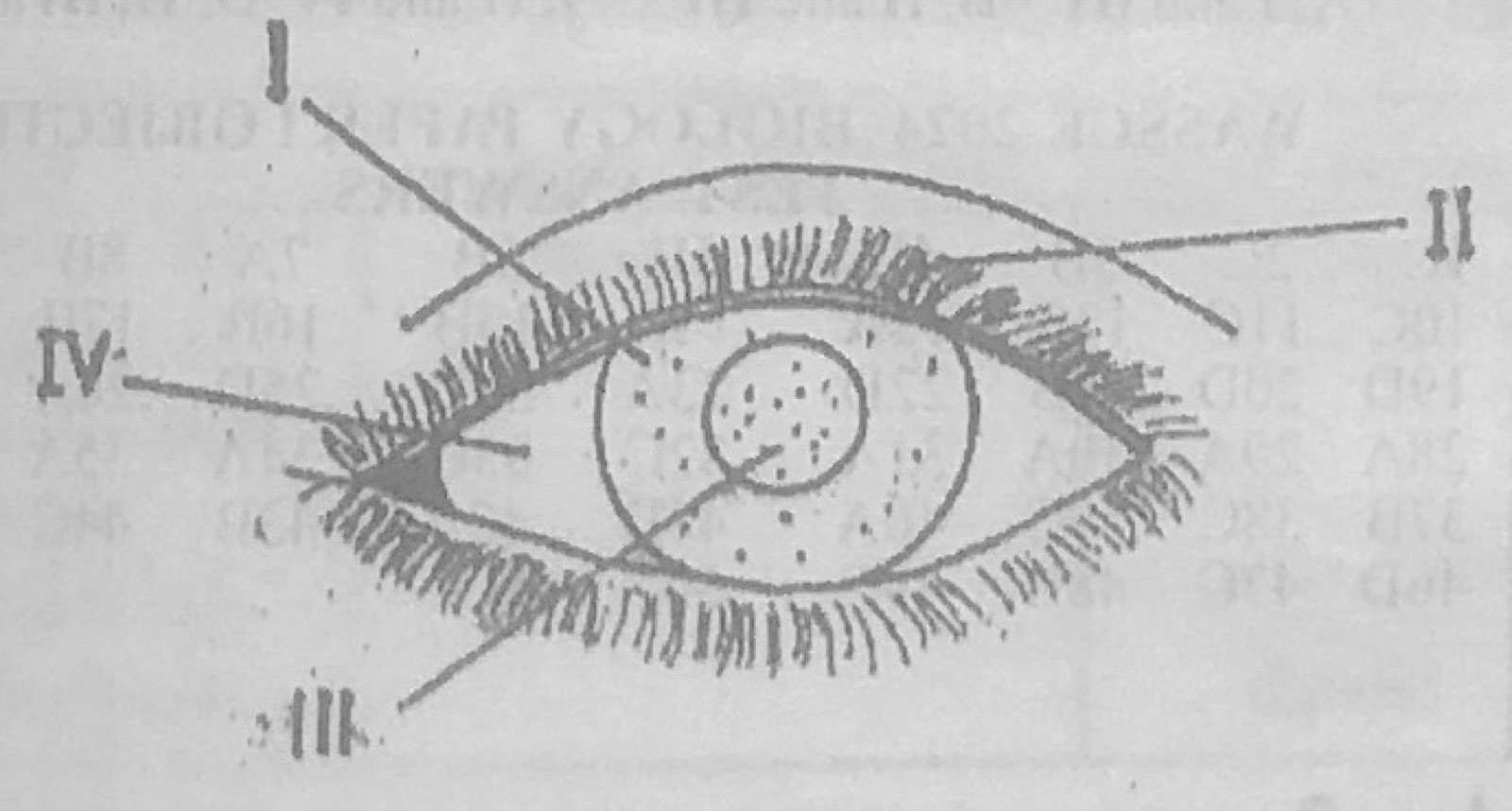 Diagram for this question