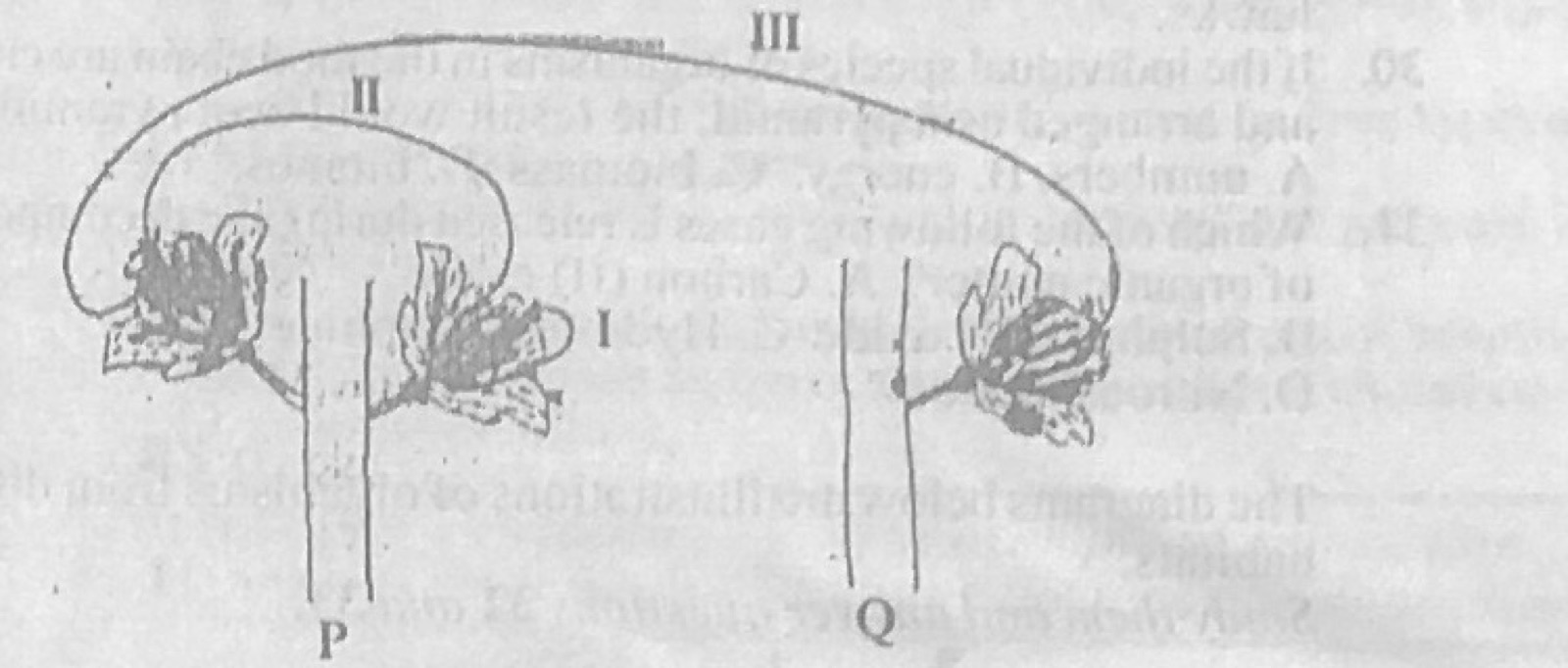 Diagram for this question