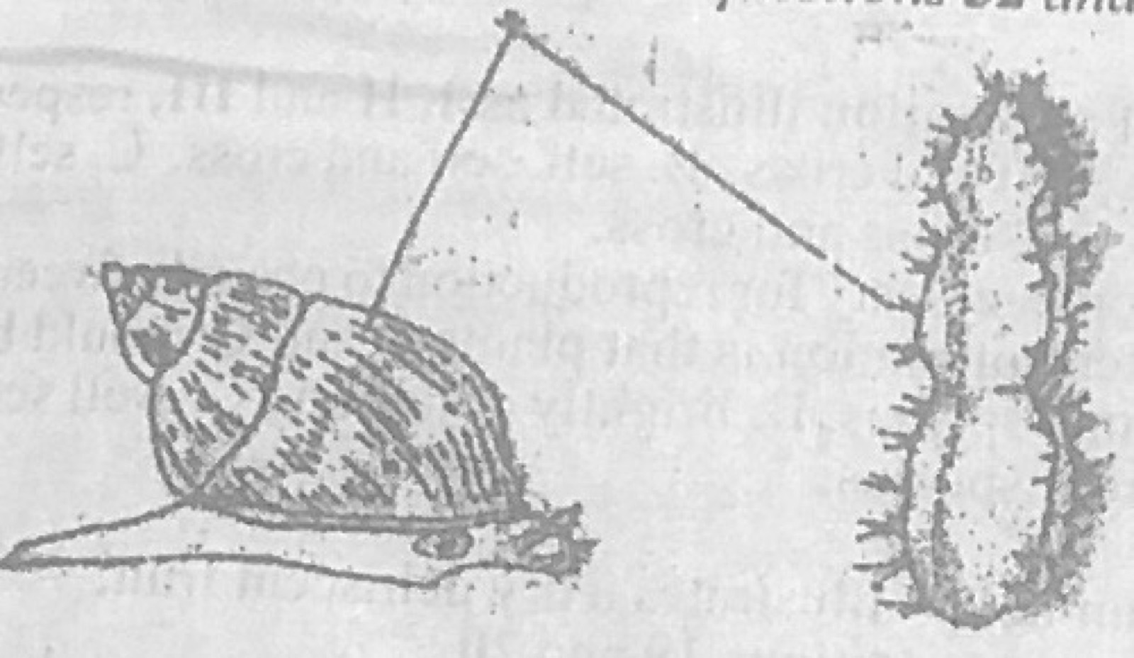 Diagram for this question