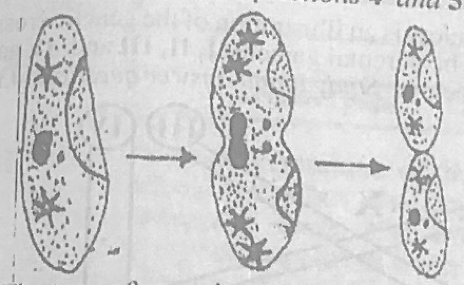 Diagram for this question