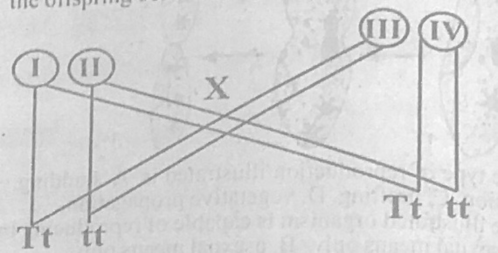 Diagram for this question