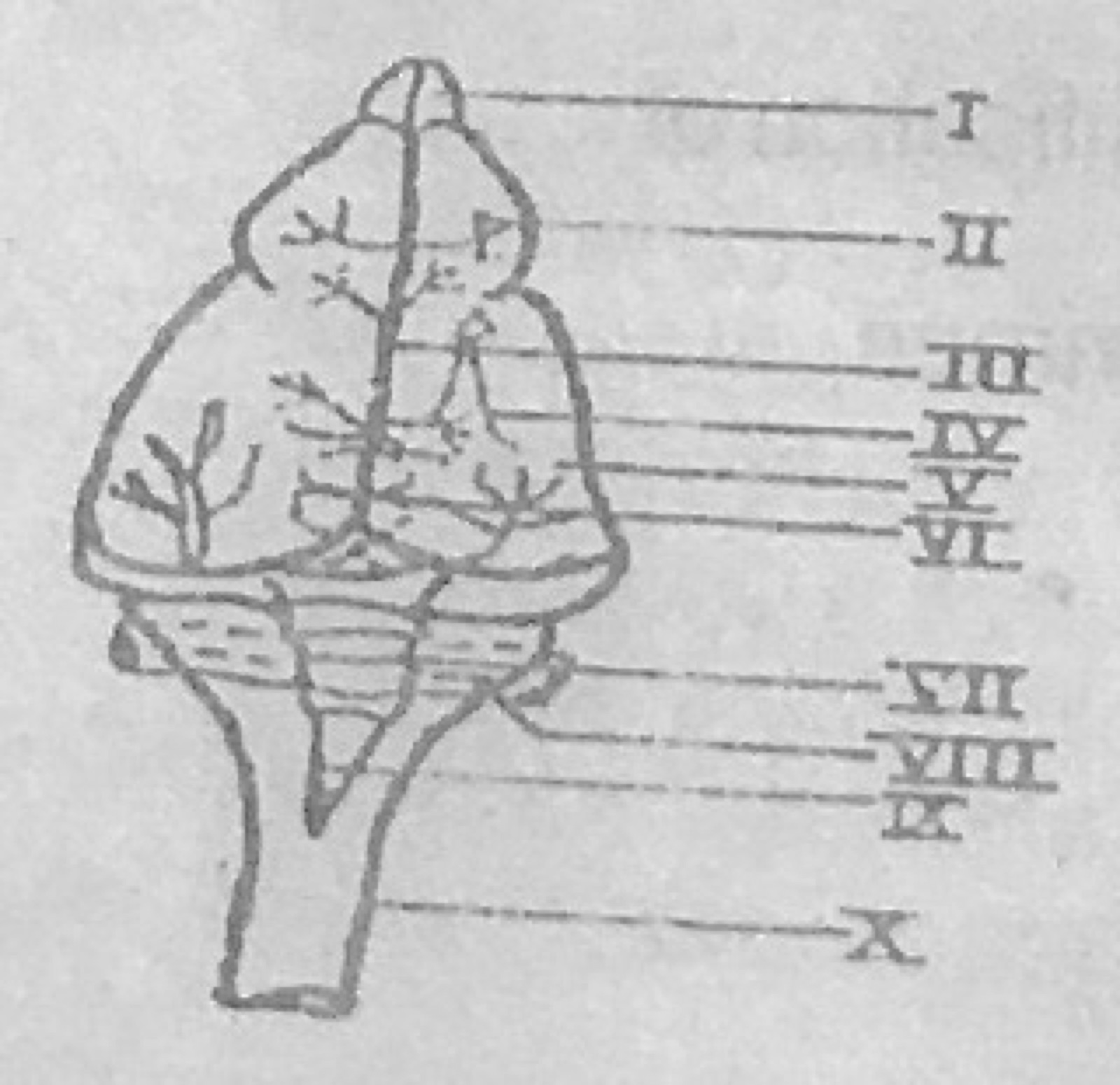 Diagram for this question