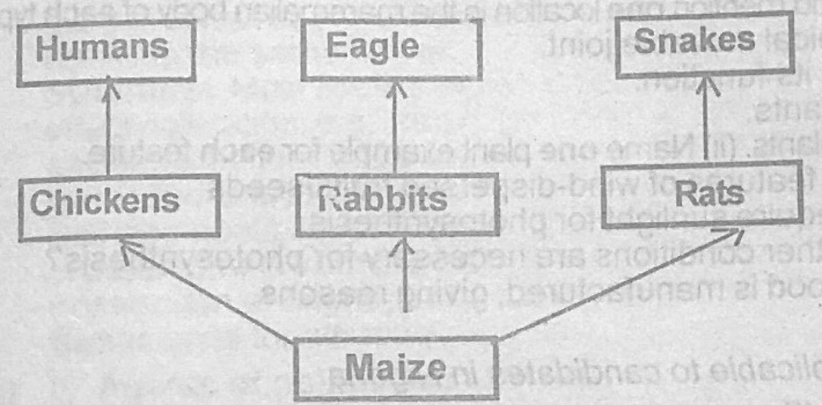 Diagram for this question