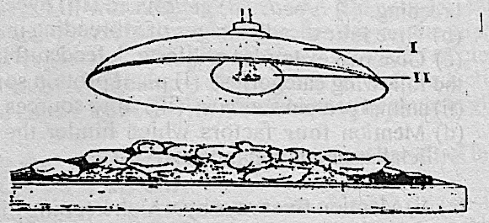 Diagram for this question