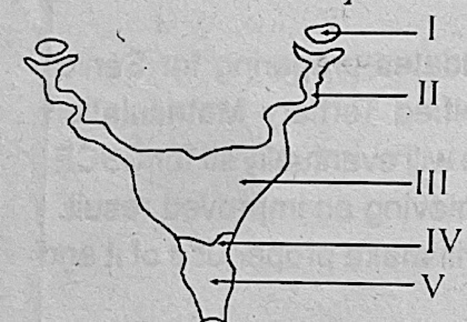 Diagram for this question