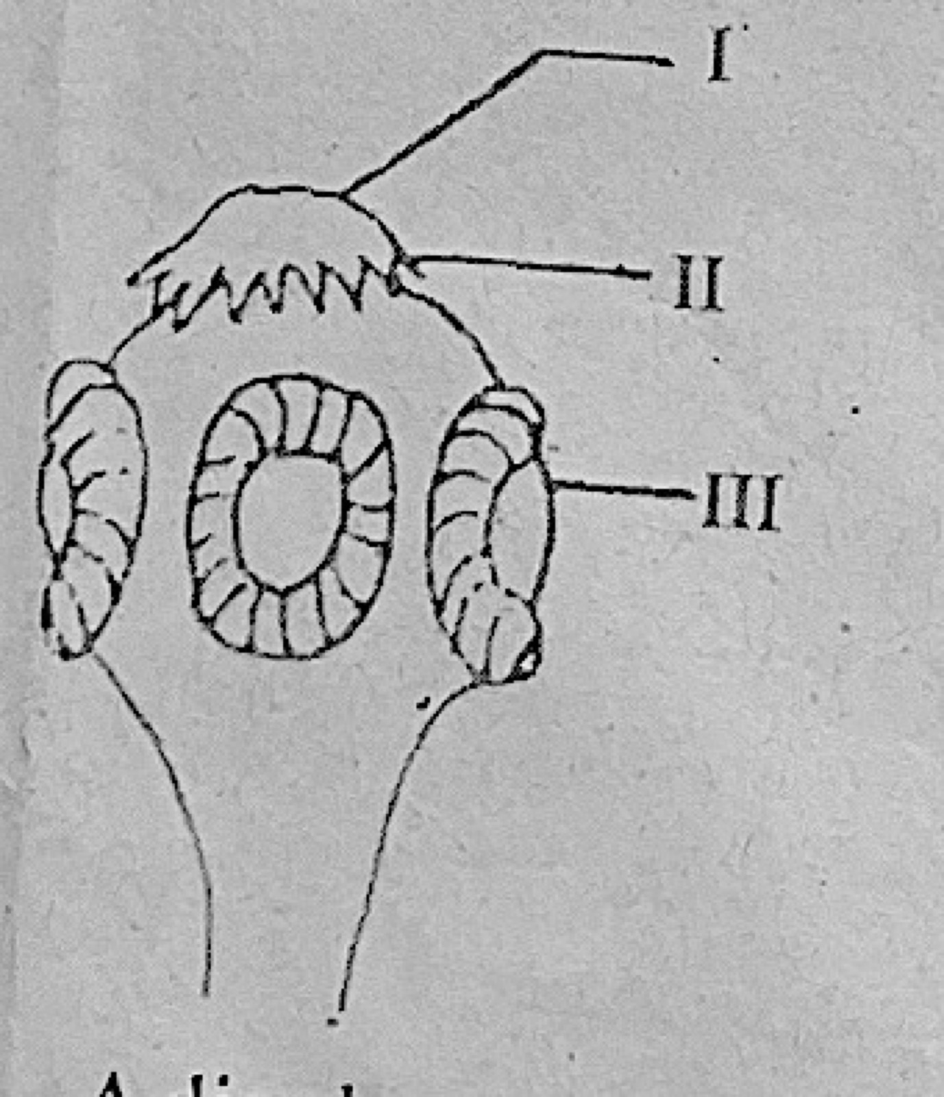 Diagram for this question