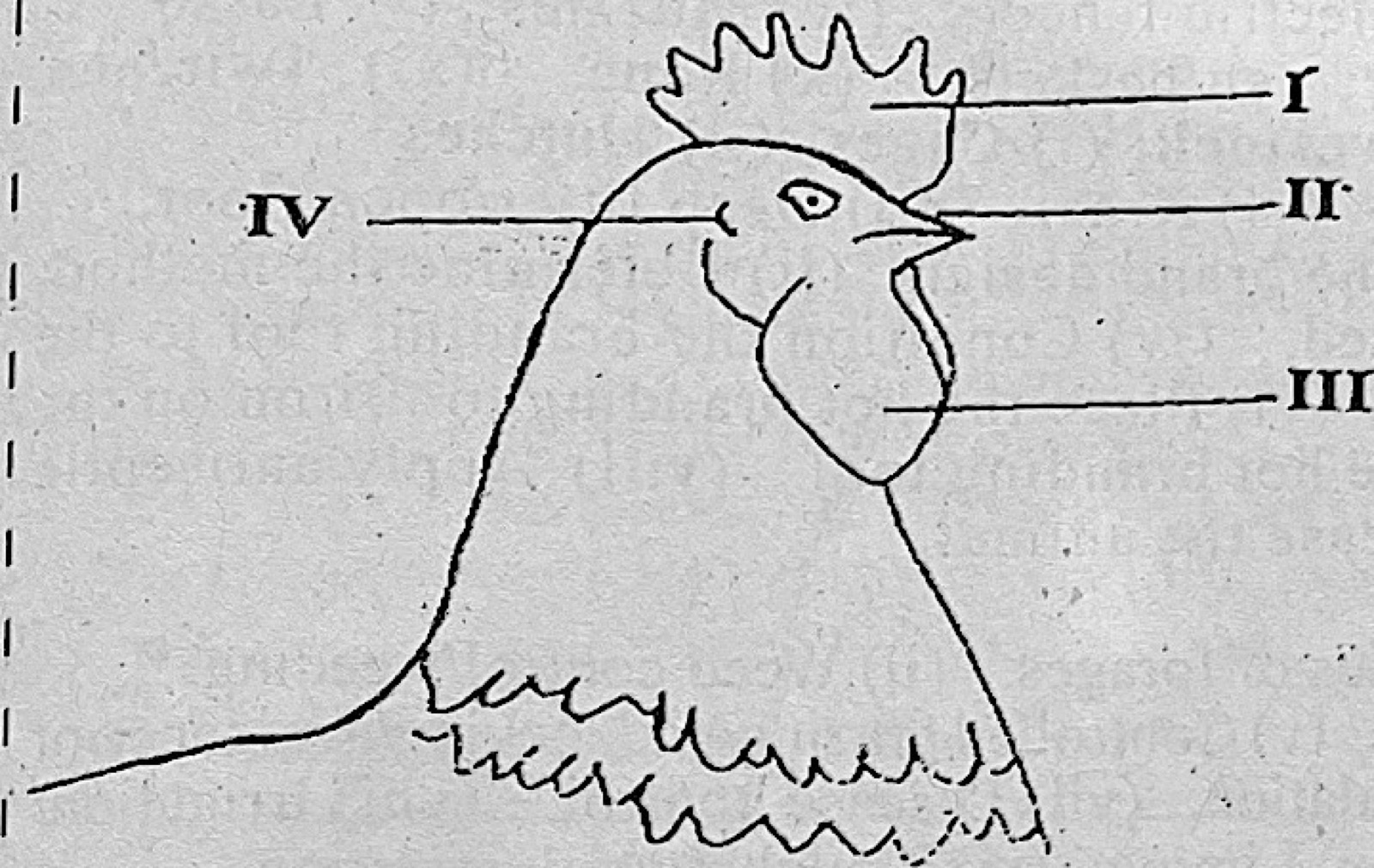 Diagram for this question