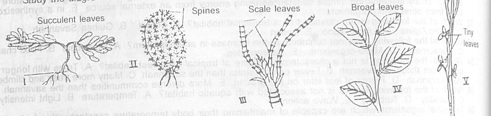 Diagram for this question