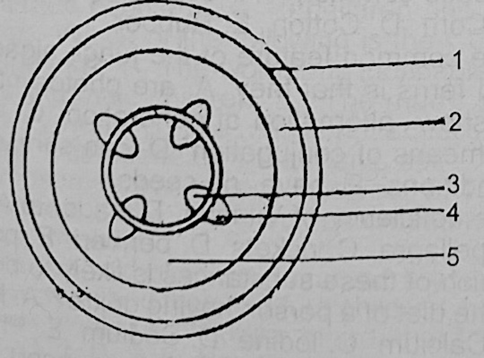 Diagram for this question
