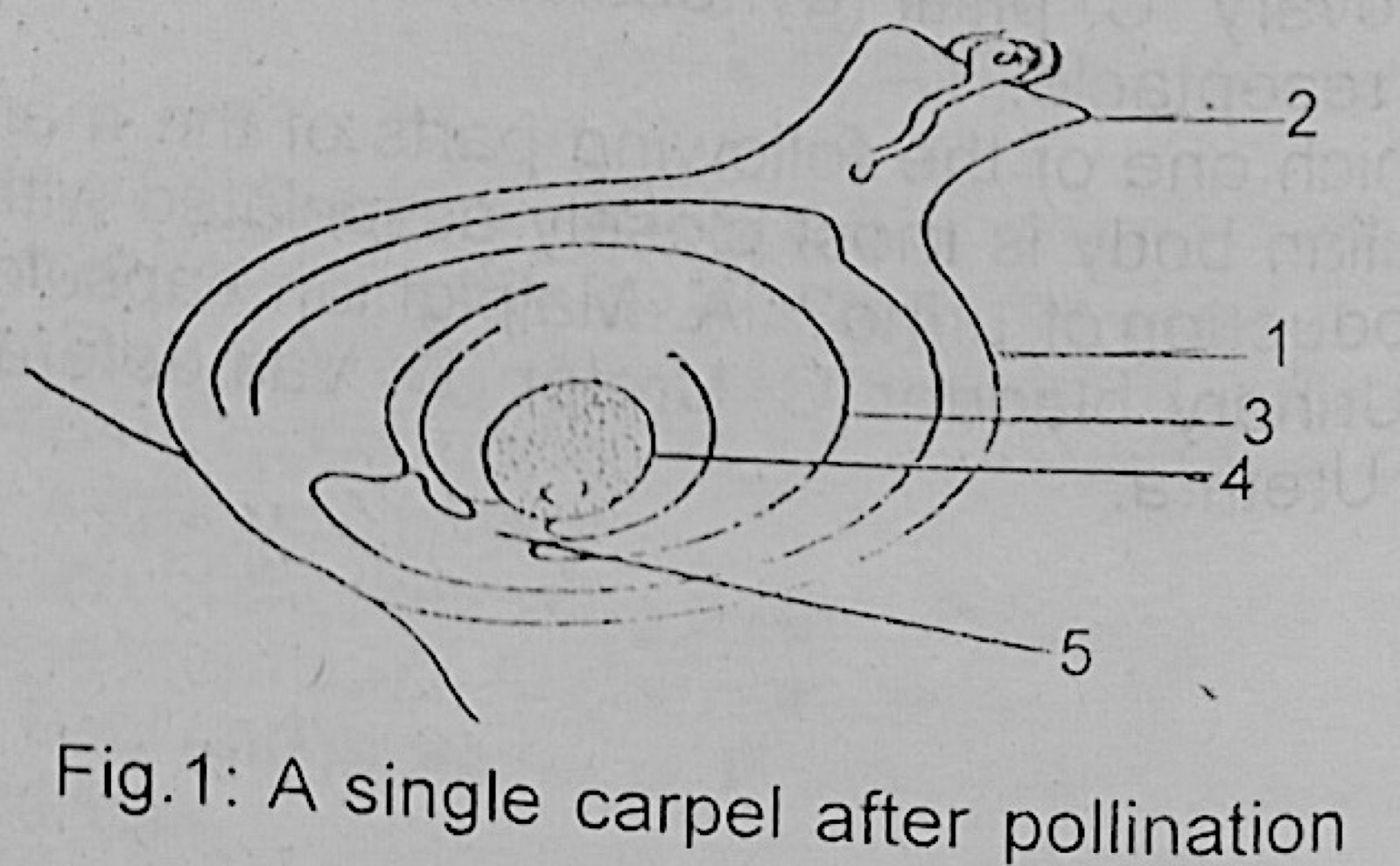 Diagram for this question