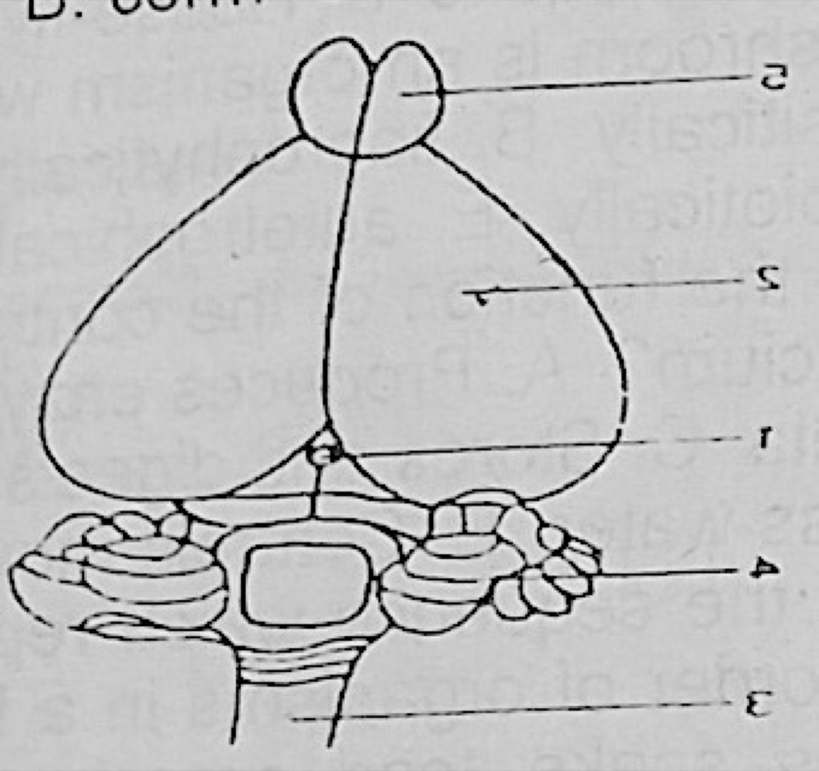 Diagram for this question