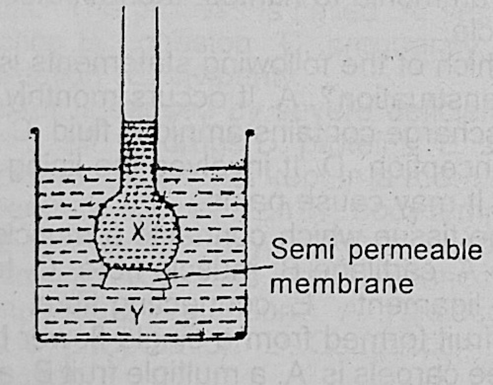 Diagram for this question