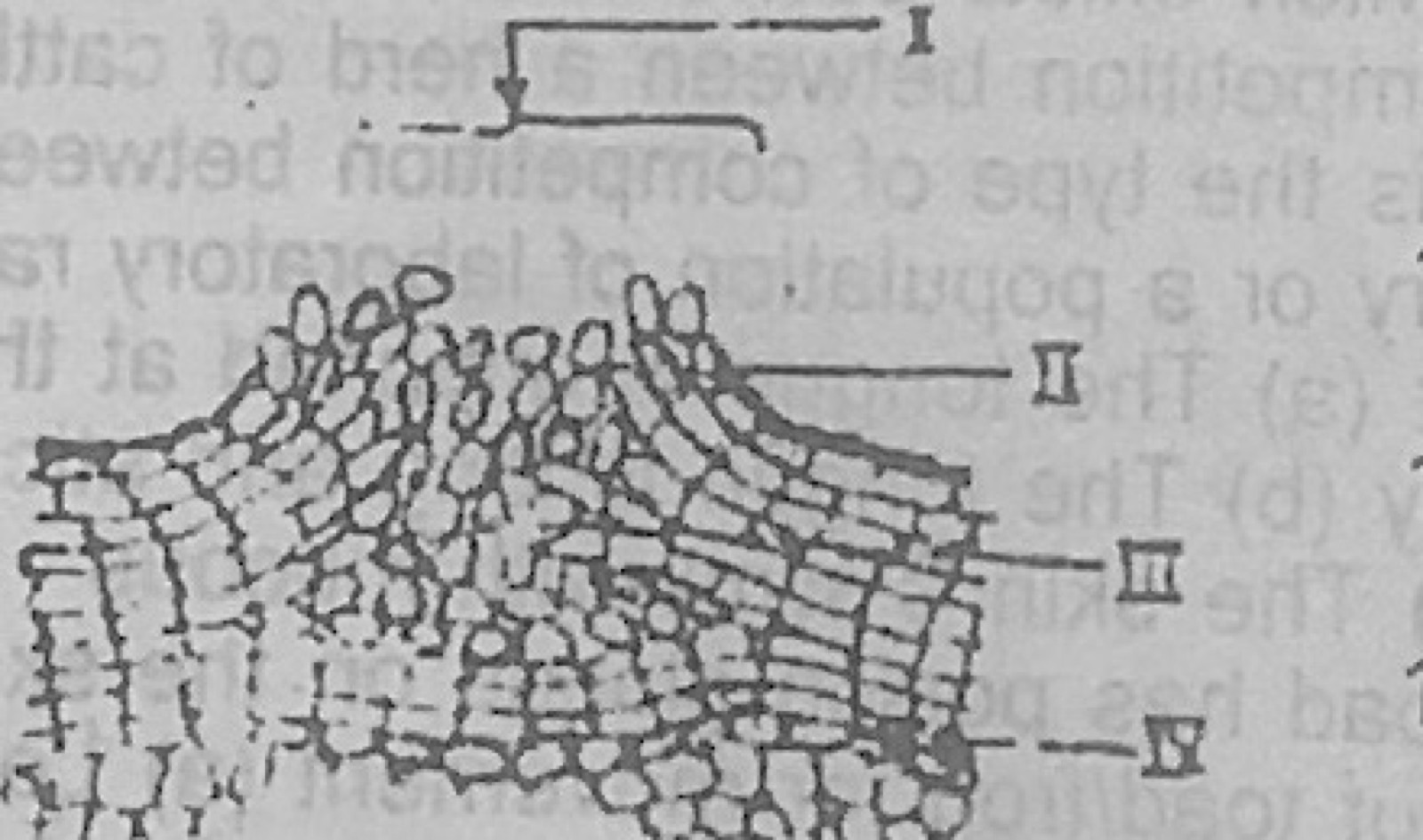 Diagram for this question