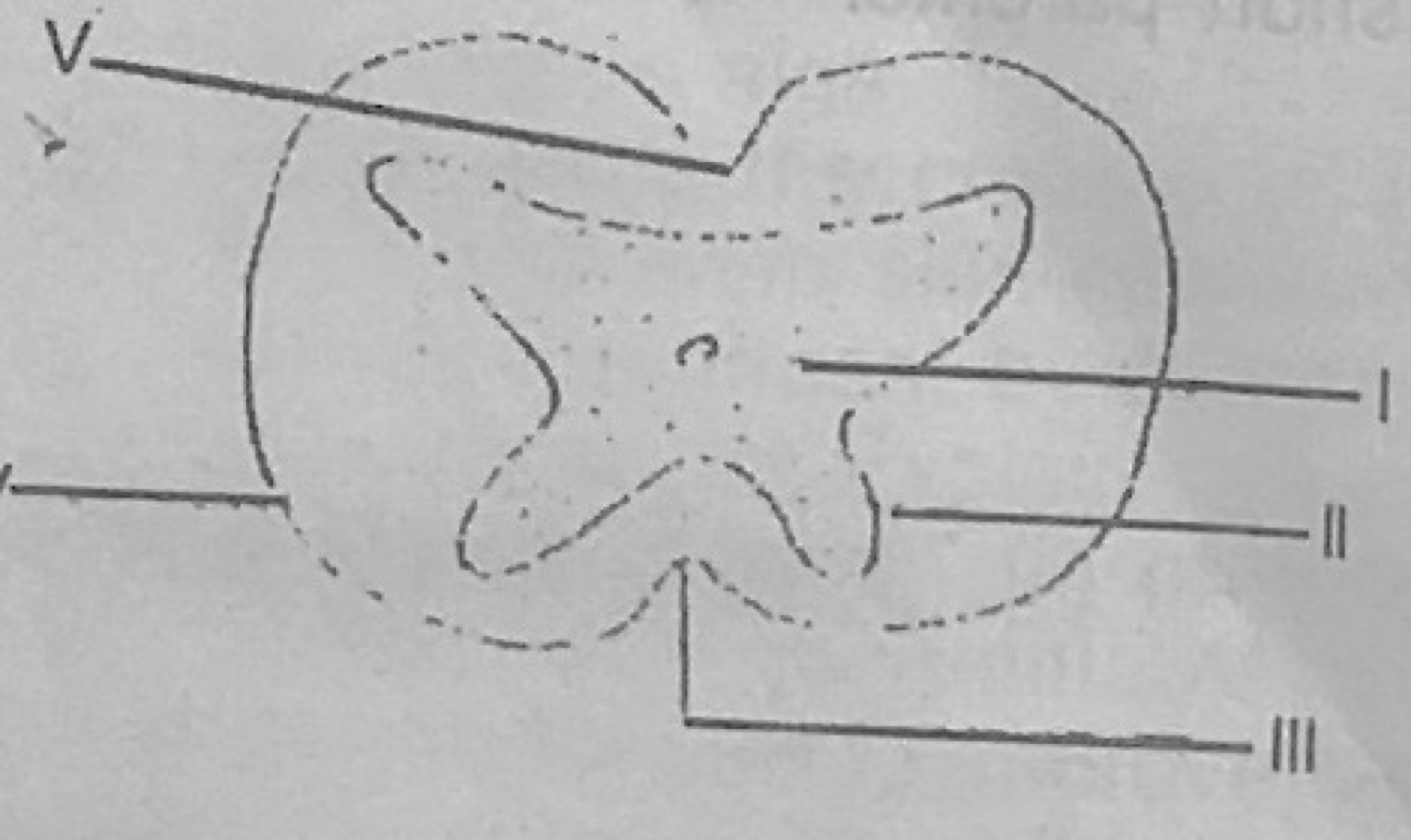 Diagram for this question