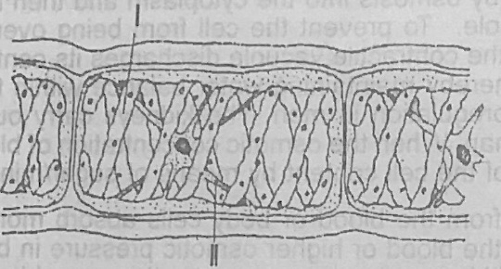 Diagram for this question