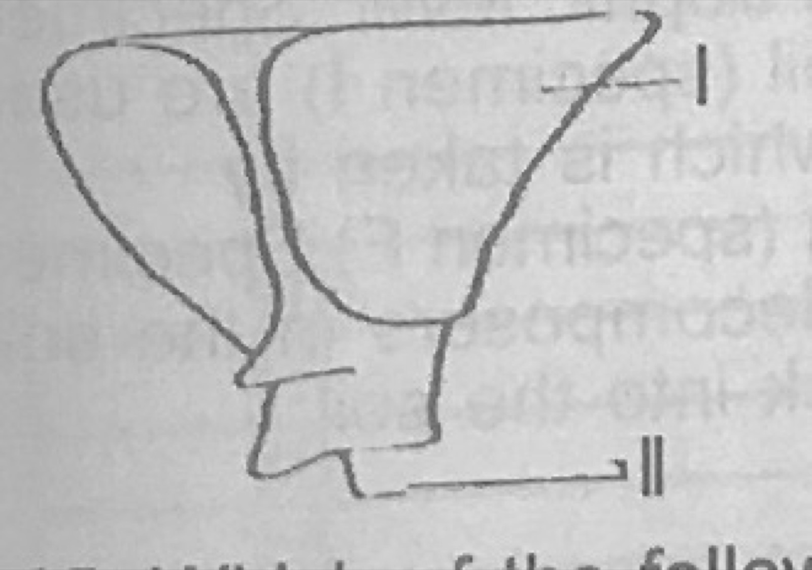 Diagram for this question
