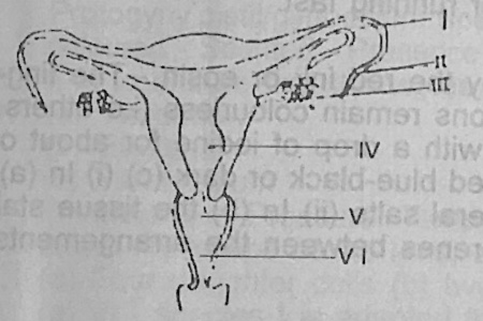 Diagram for this question
