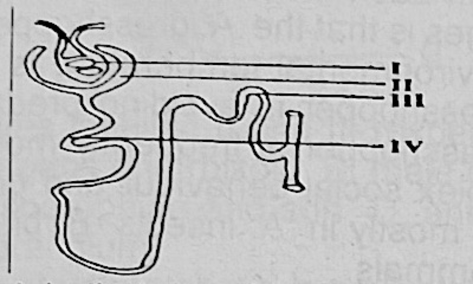 Diagram for this question