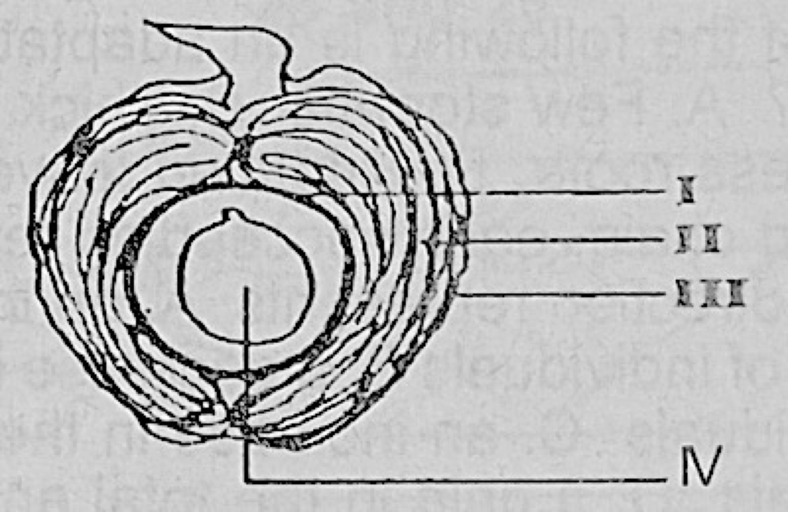 Diagram for this question