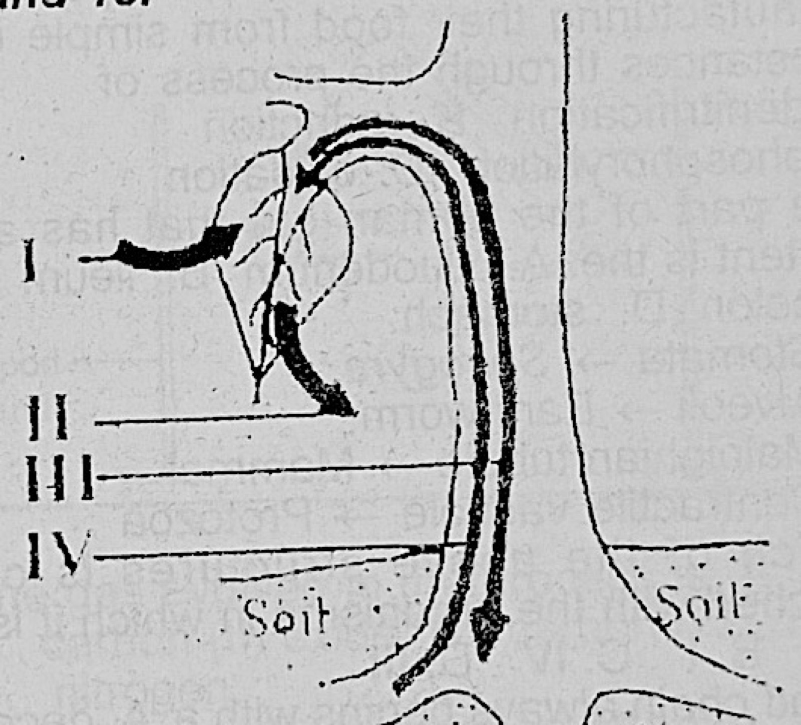 Diagram for this question