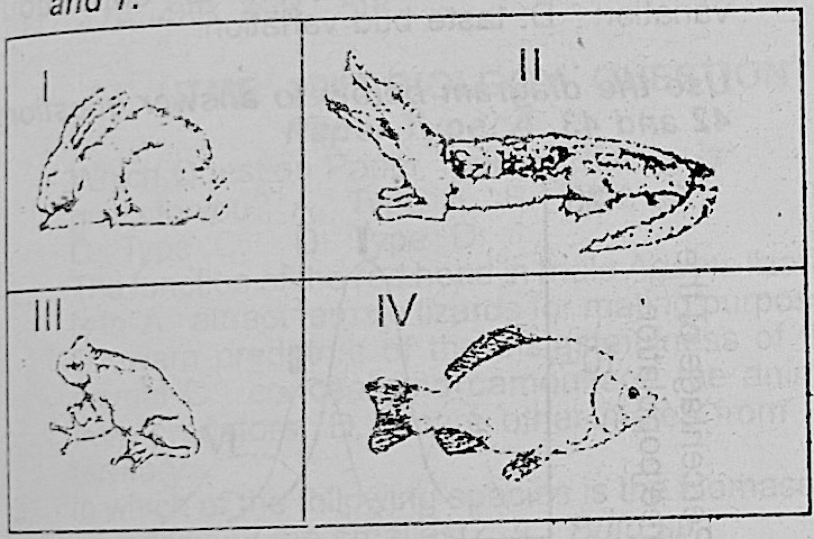 Diagram for this question