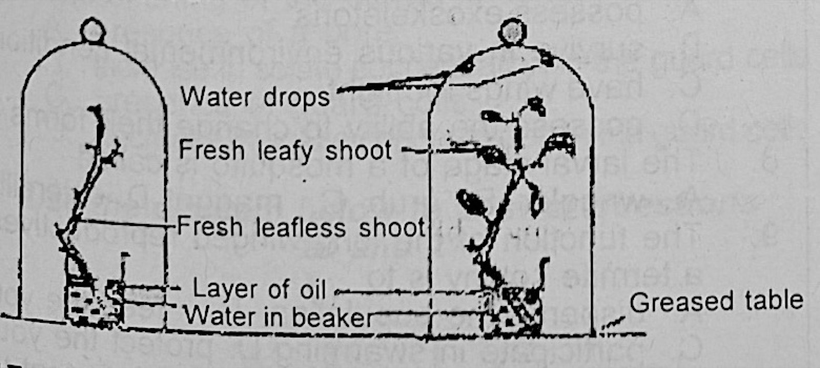 Diagram for this question