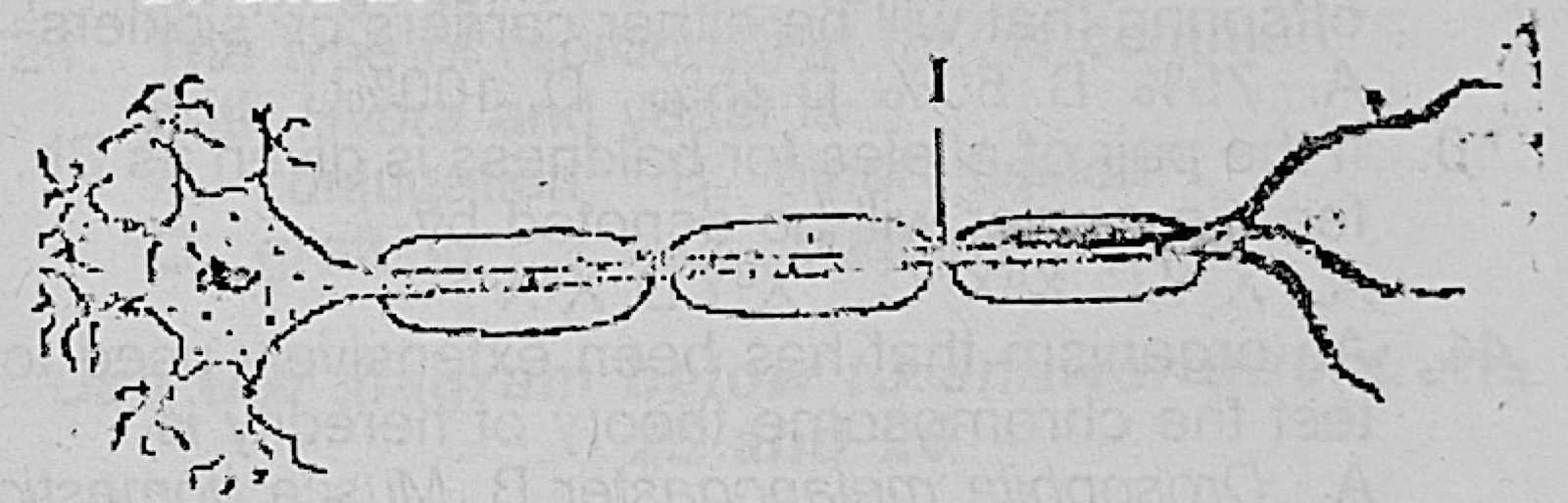 Diagram for this question