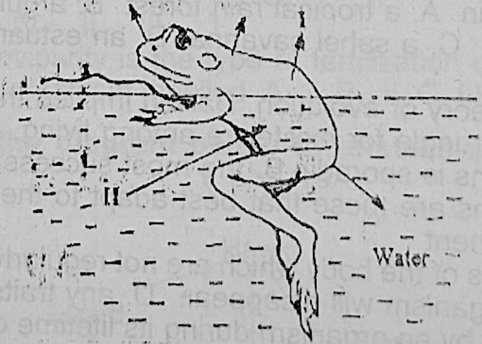 Diagram for this question